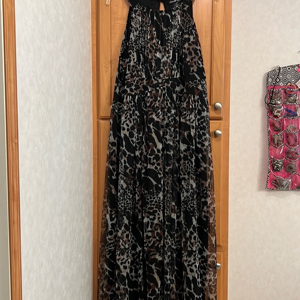 NWT sleeveless sheer overlay dress